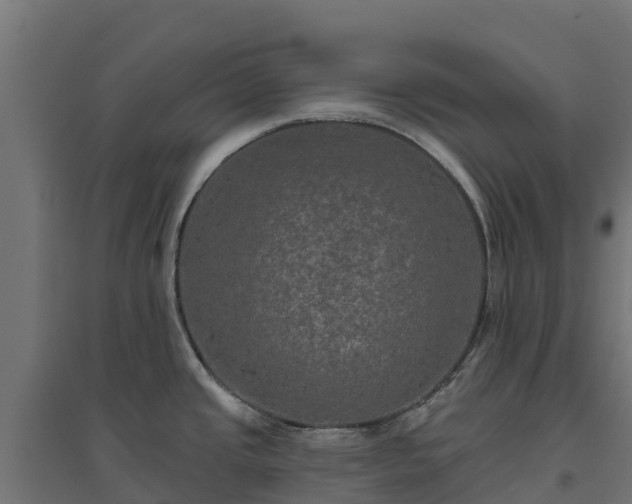 X0000094791437200711241351