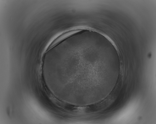 X0000094791438200711241351