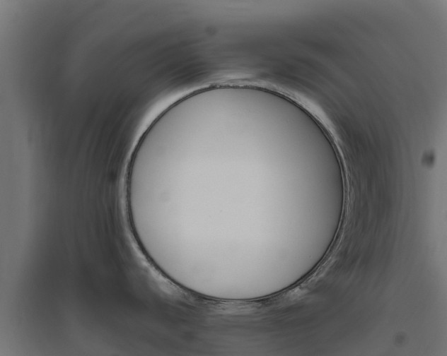 X0000094791440200711241351