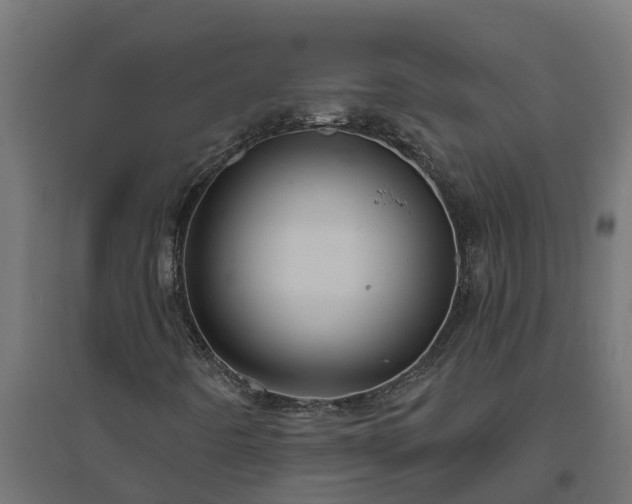 X0000094791442200711241351