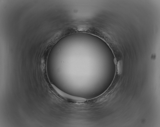 X0000094791443200711241351