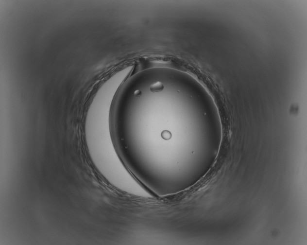 X0000094791445200711241351