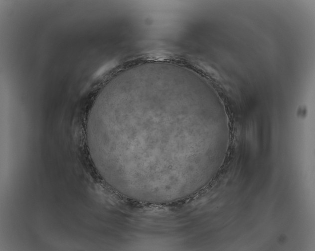 X0000094791446200711241351