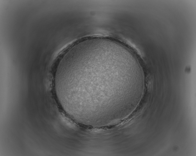 X0000094791448200711241351