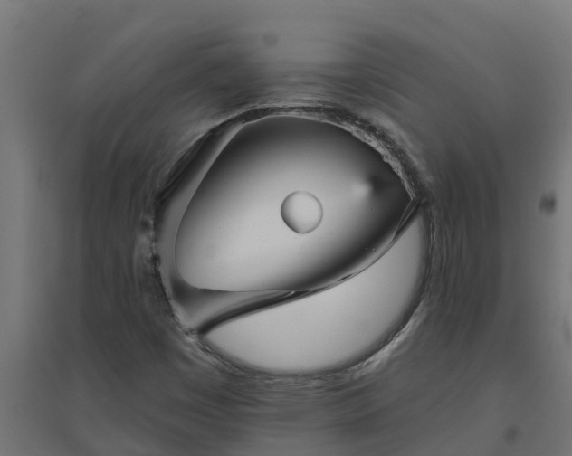 X0000094791449200711241351