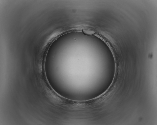 X0000094791451200711241351