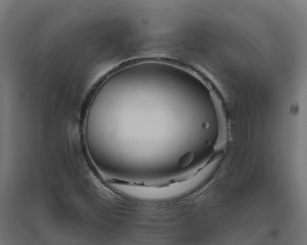 X0000094791452200711241351