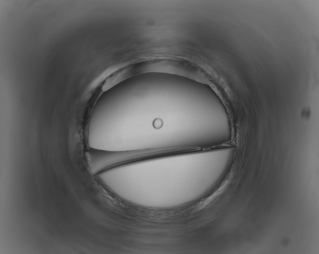 X0000094791453200711241351