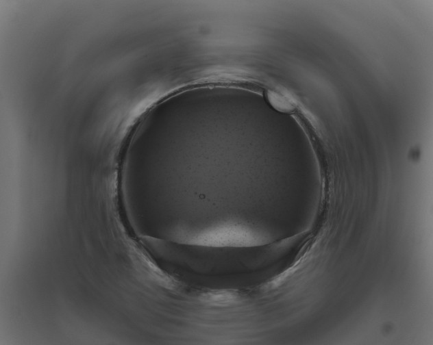 X0000094791459200711241351