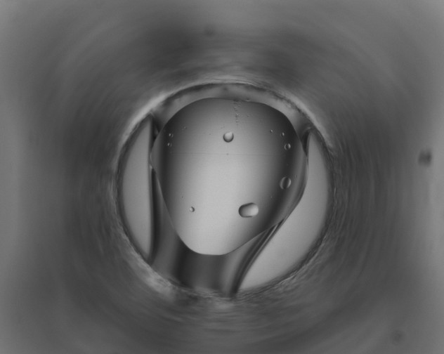 X0000094791460200711241351