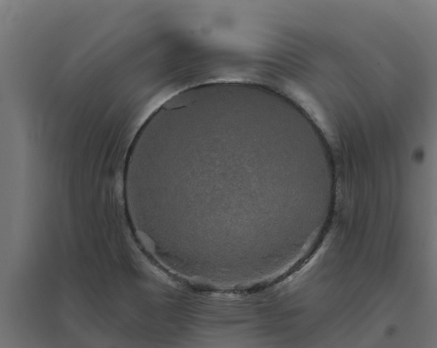 X0000094791465200711241350