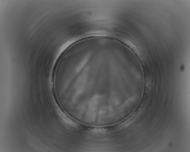 X0000094791466200711241350