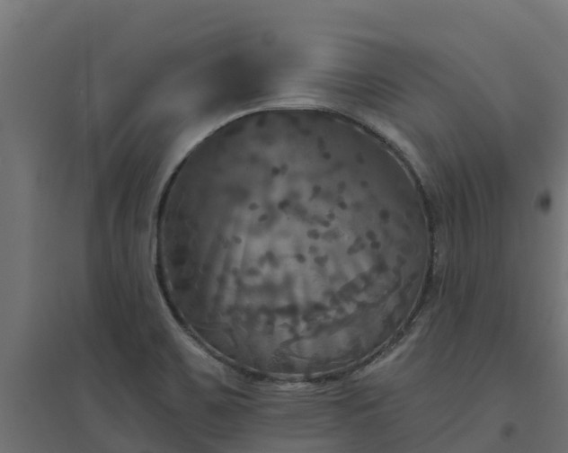 X0000094791467200711241350