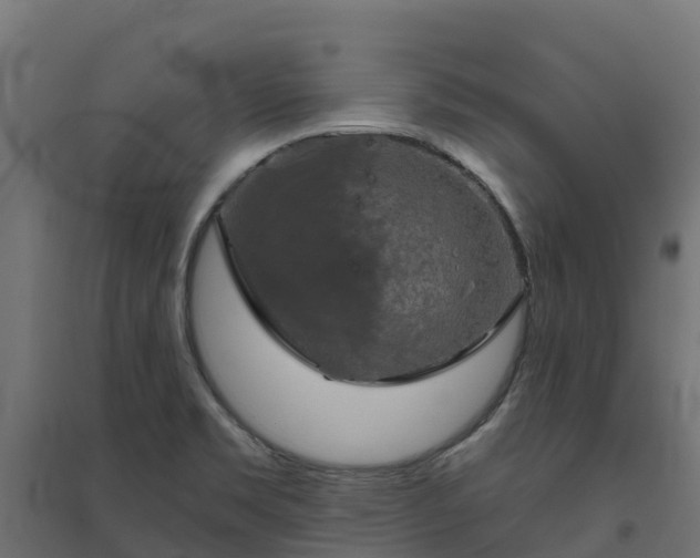 X0000094791469200711241350