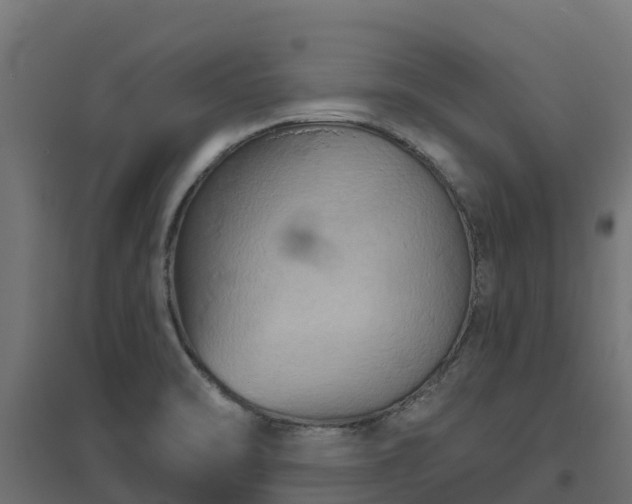 X0000094791470200711241350