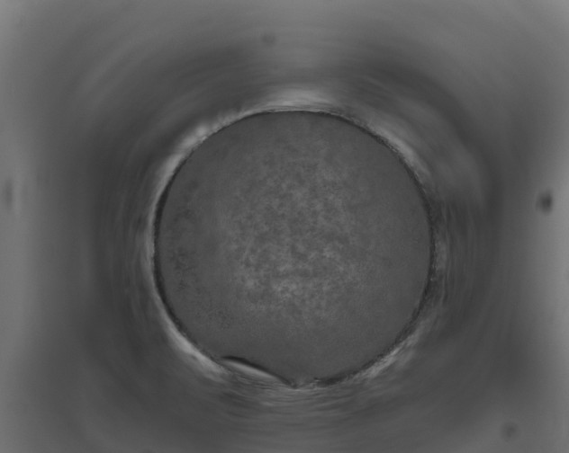 X0000094791471200711241350