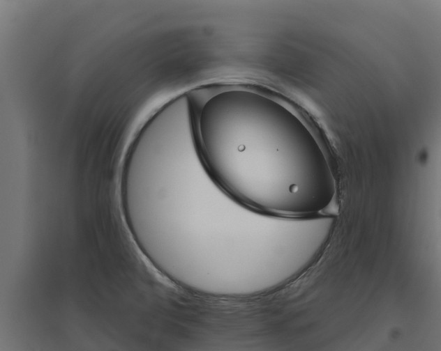 X0000094791472200711241350