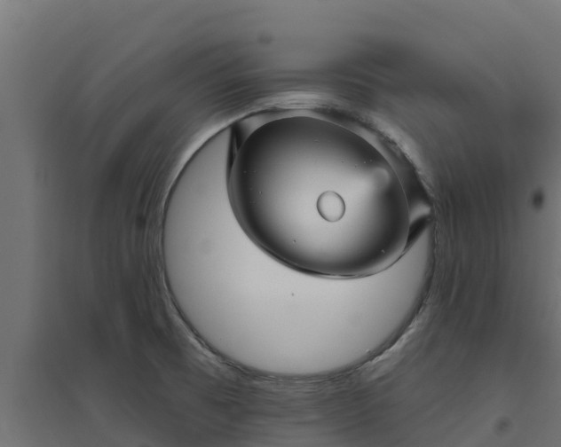 X0000094791473200711241350