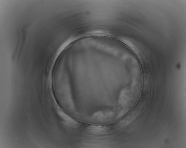 X0000094791474200711241350