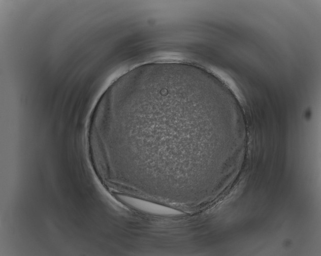 X0000094791475200711241350