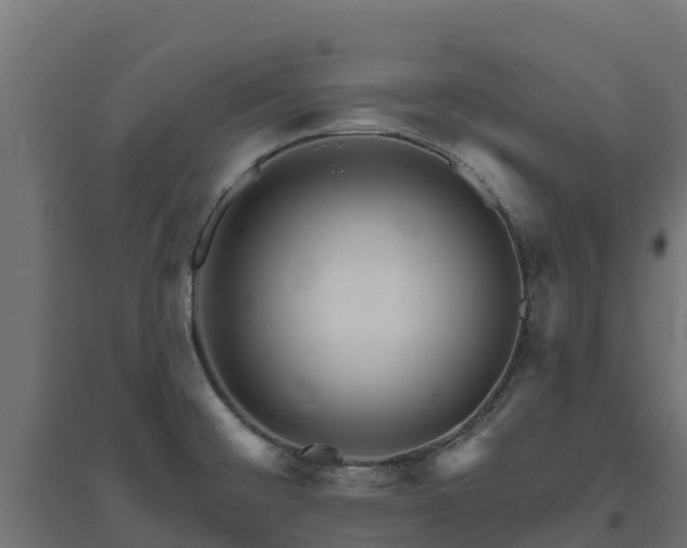 X0000094791476200711241350