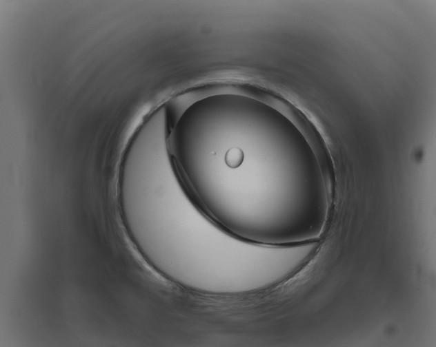 X0000094791477200711241350