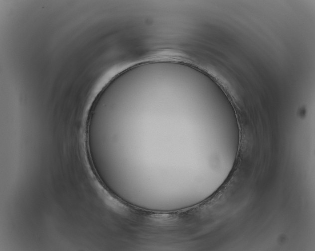 X0000094791478200711241350