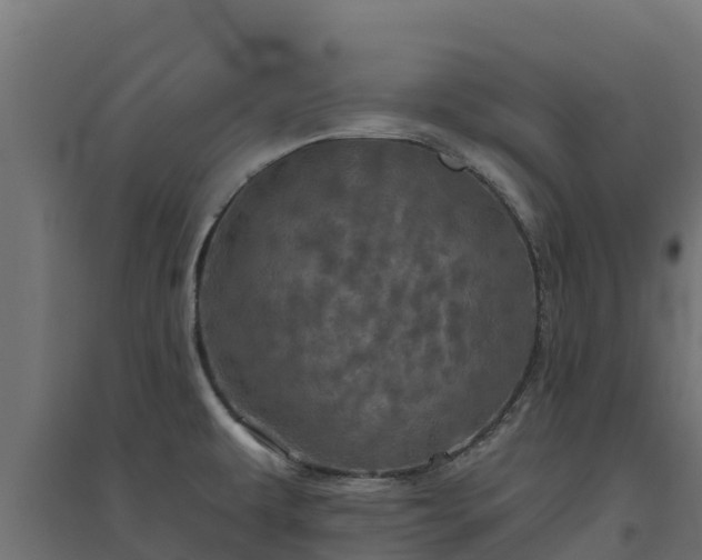 X0000094791479200711241350