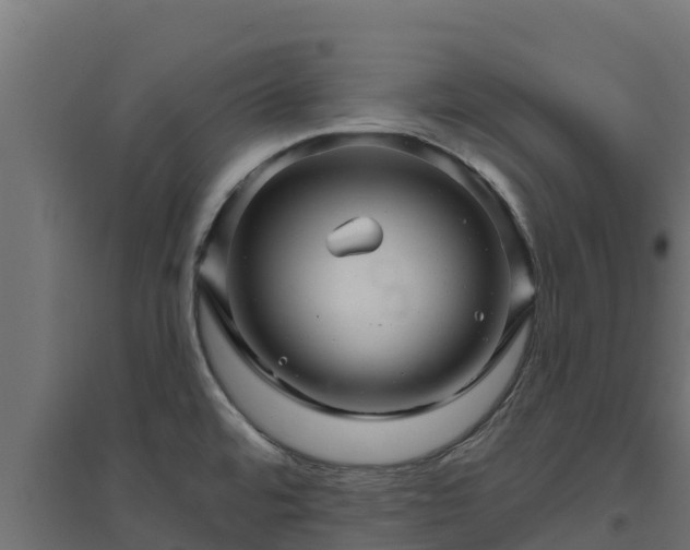 X0000094791480200711241350