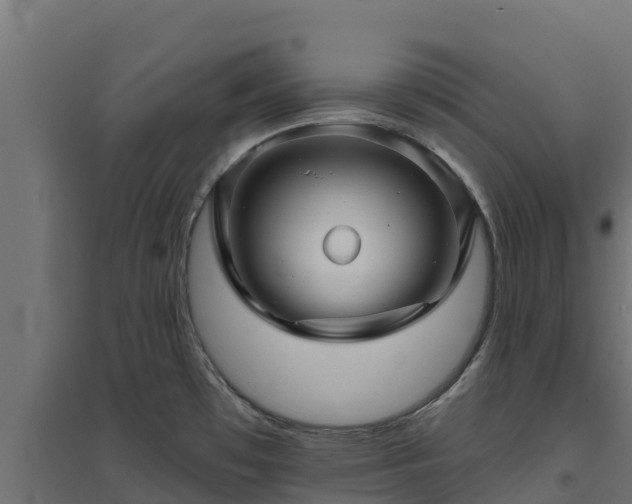 X0000094791481200711241350