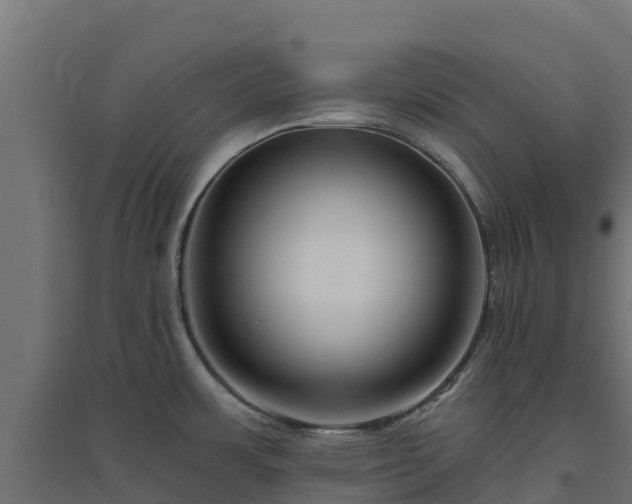 X0000094791483200711241350