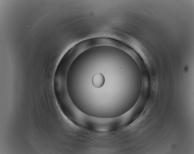 X0000094791484200711241350