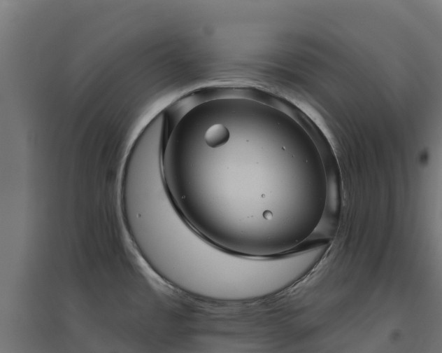 X0000094791485200711241350