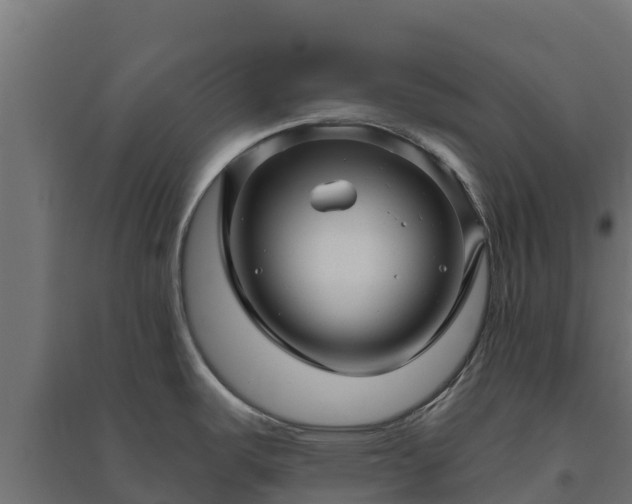 X0000094791487200711241350