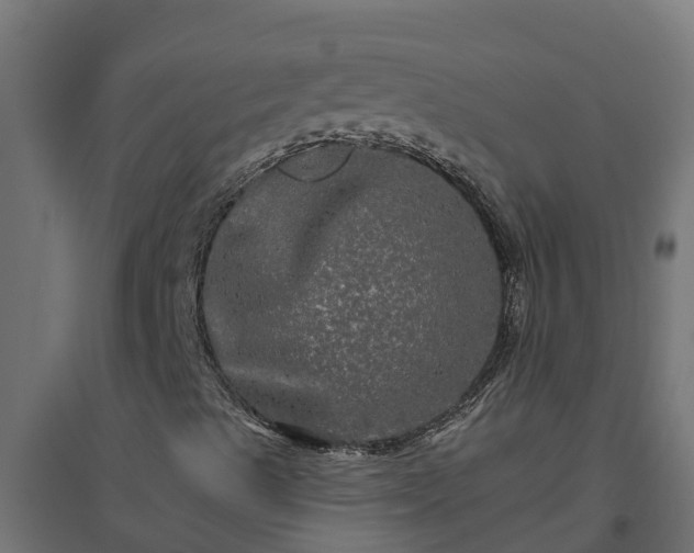 X0000094791489200711241349