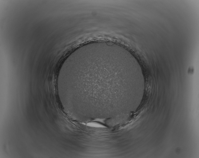 X0000094791490200711241349