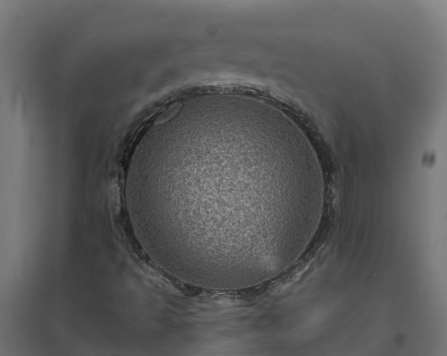 X0000094791493200711241350