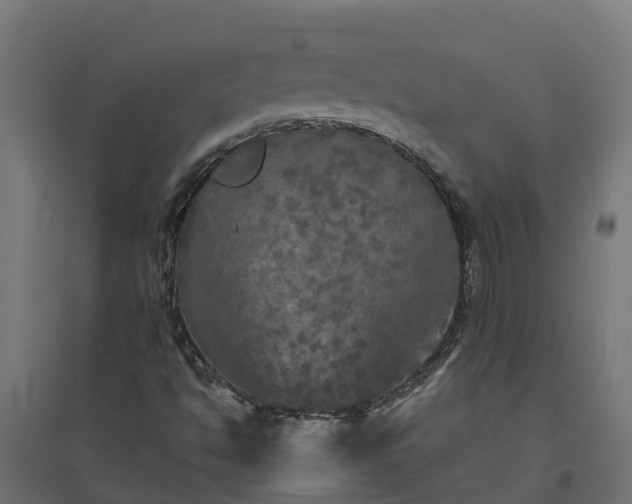 X0000094791494200711241350