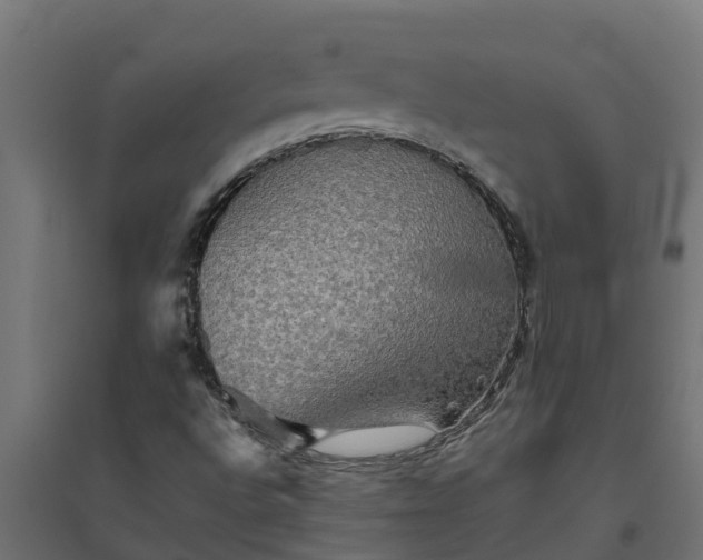 X0000094791496200711241350