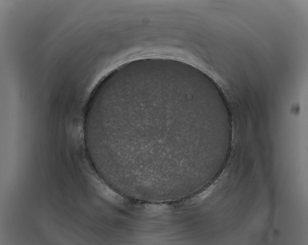 X0000094791498200711241350