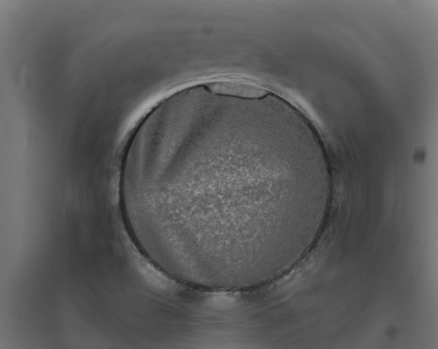 X0000094791504200711241350