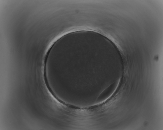 X0000094791508200711241350