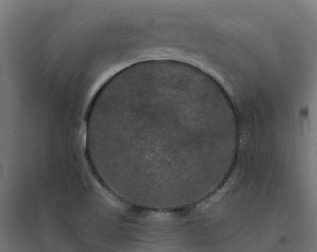 X0000094791509200711241350