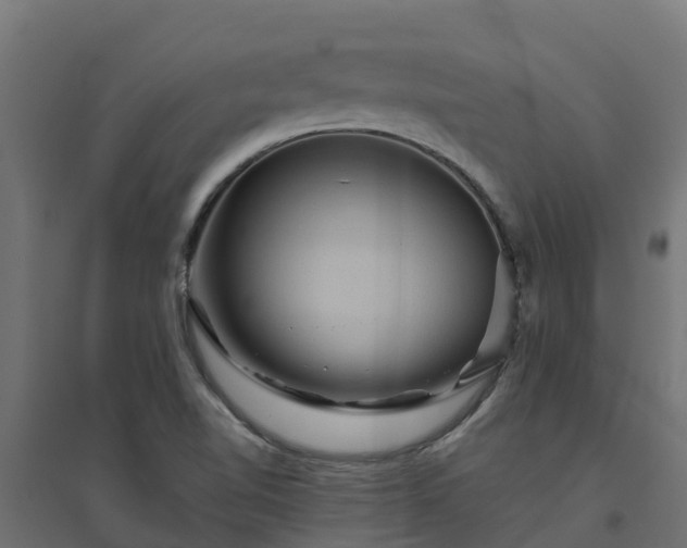 X0000094791510200711241350