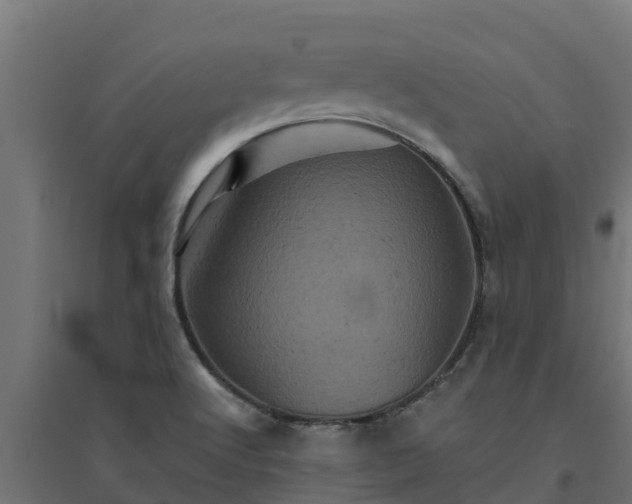 X0000094791512200711241350