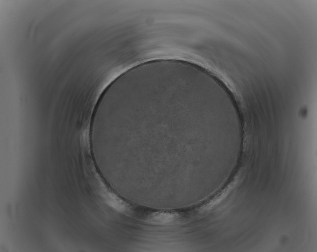 X0000094791513200711241350