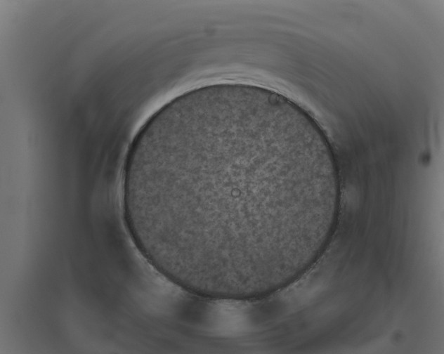 X0000094791514200711241350