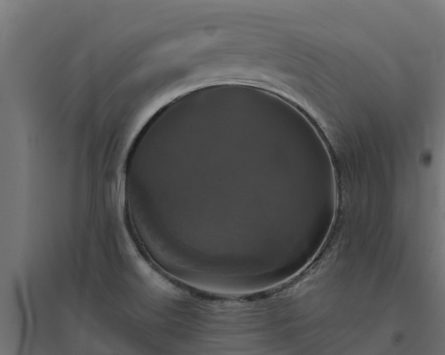 X0000094791515200711241350