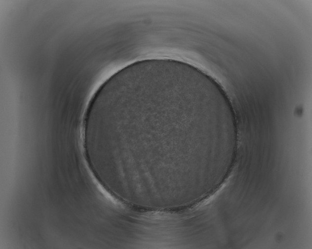 X0000094791517200711241350