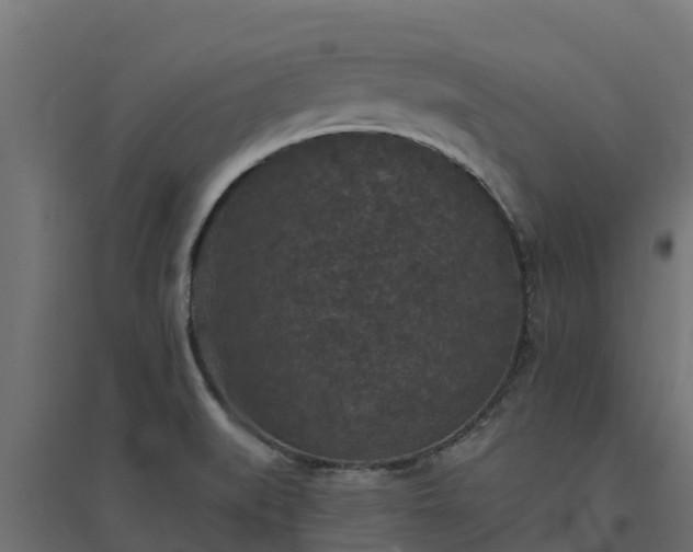 X0000094791519200711241350